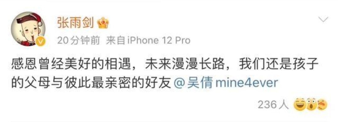 張雨劍宣布與吳倩離婚。