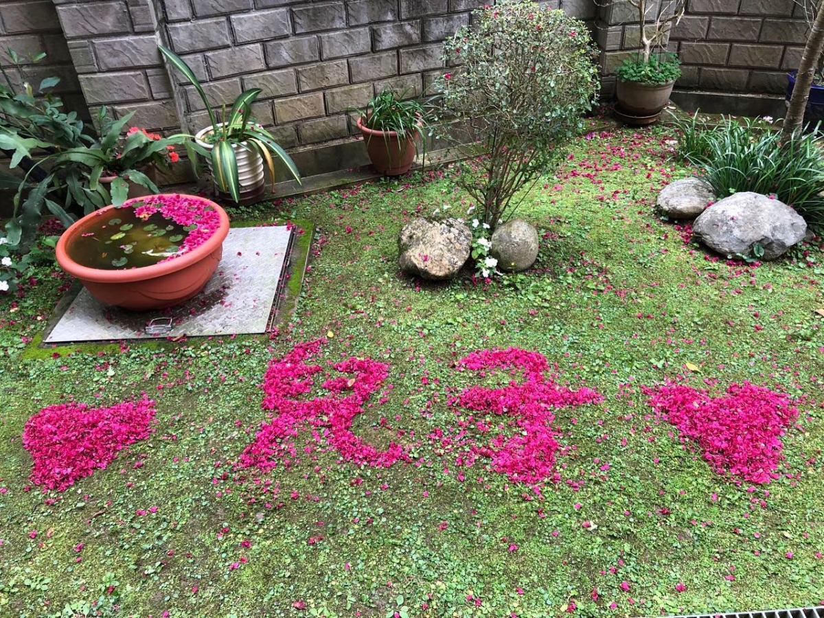 王家梁也收到了媽媽以花瓣排出「兒子」的溫馨相片。