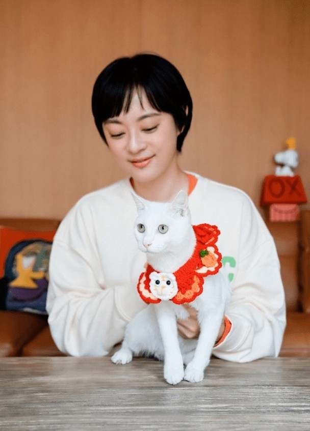 白貓是孫儷家中的新成員