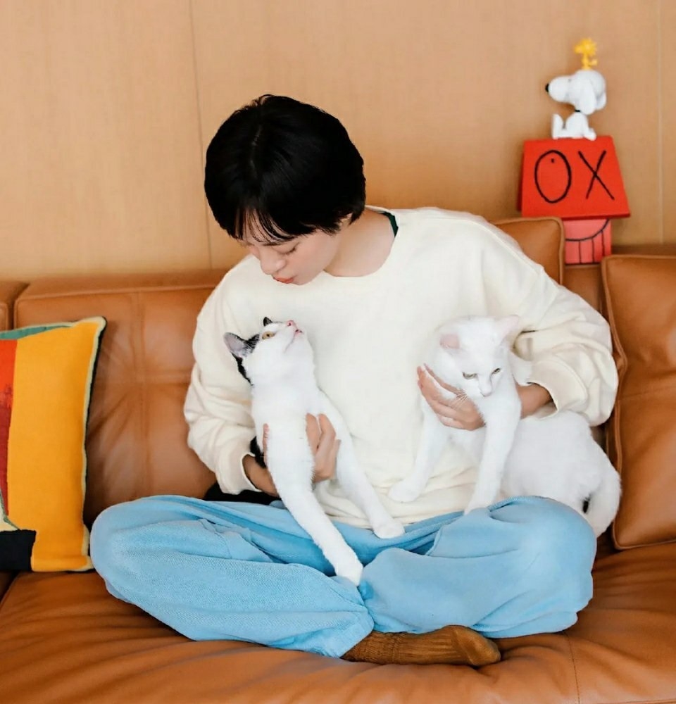 孫儷現在有2隻愛貓