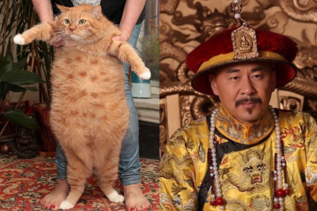 皇上每次一現身，就會被洗版是「胖橘」。