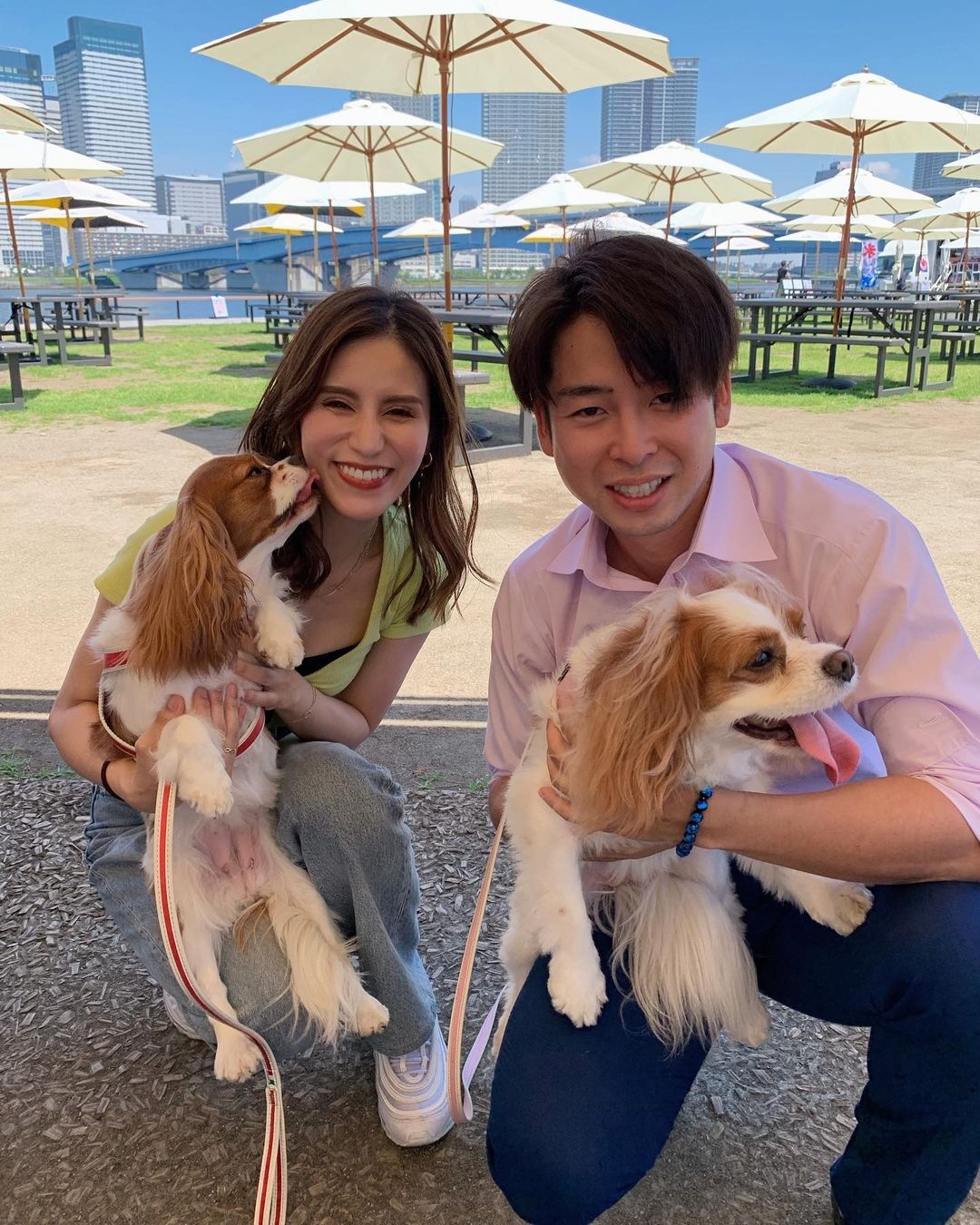 《盲婚試愛日本篇》後續