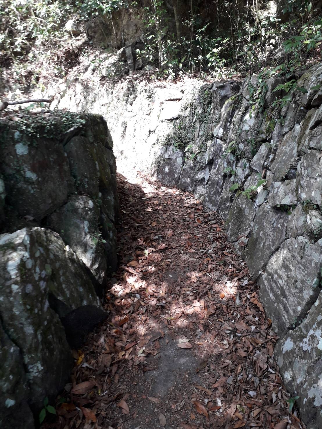 李棟山登山入口