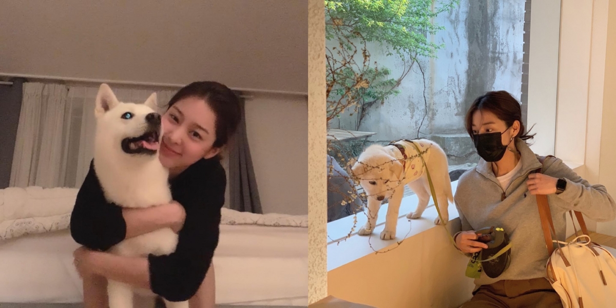 是不折不扣的愛狗人士