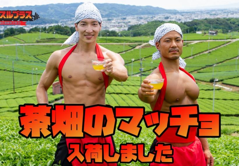 猛男們在茶園的故事照片相當搞笑