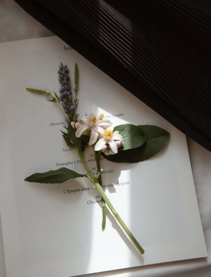 小紅書＠孙尚香Scent