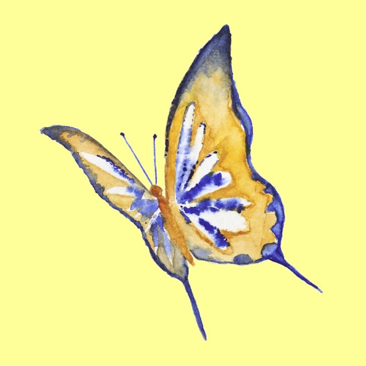 5號黃色蝴蝶