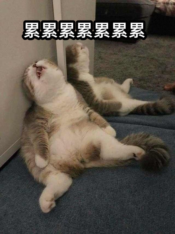 如果另一半總是用「很累」當作藉口，那可能是他真的對你沒有愛了。