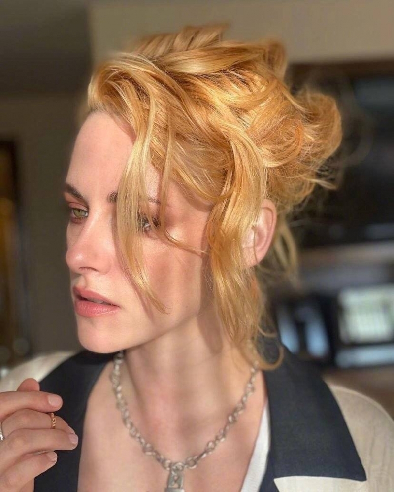 克莉絲汀在去年年底宣布訂婚交往2年的編劇女友Dylan Meyer