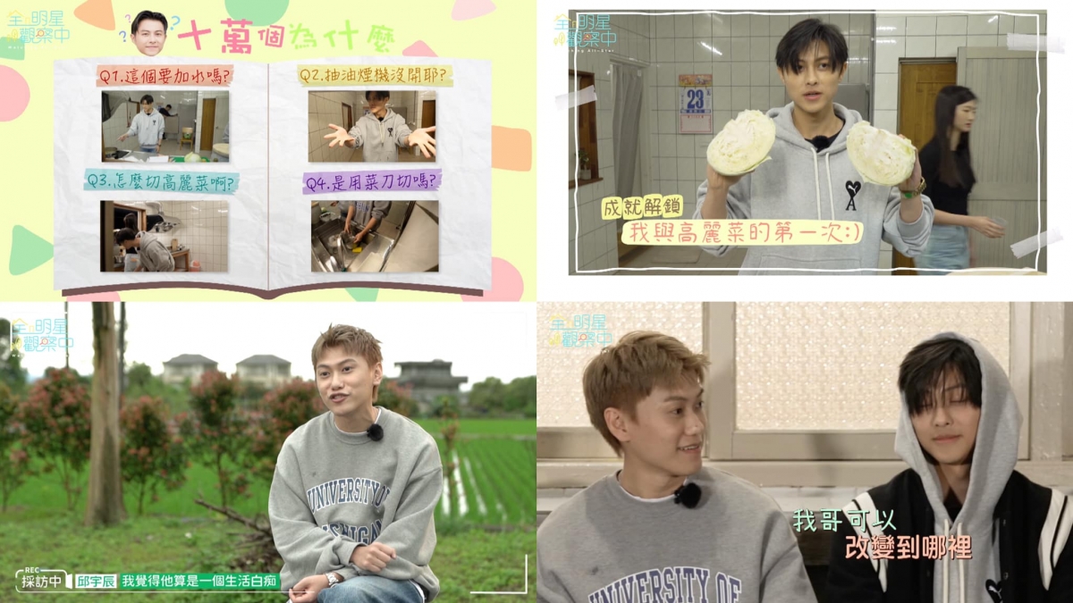 毛弟全力吐槽哥哥王子