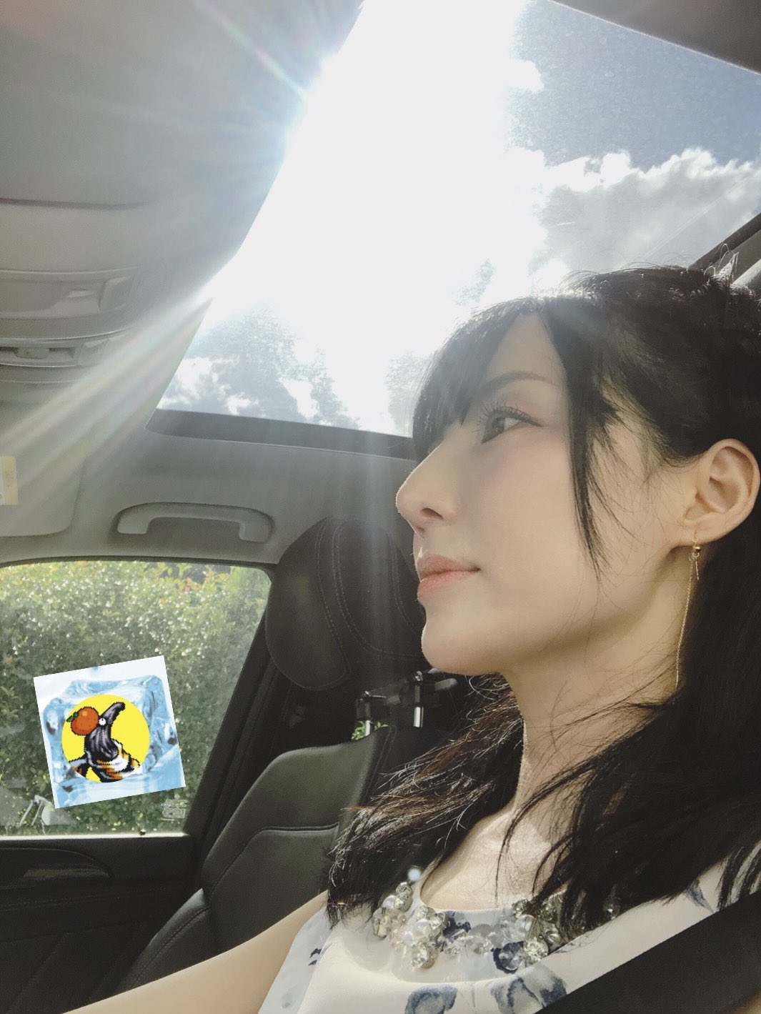 愛新覺羅 維時常分享生活自拍