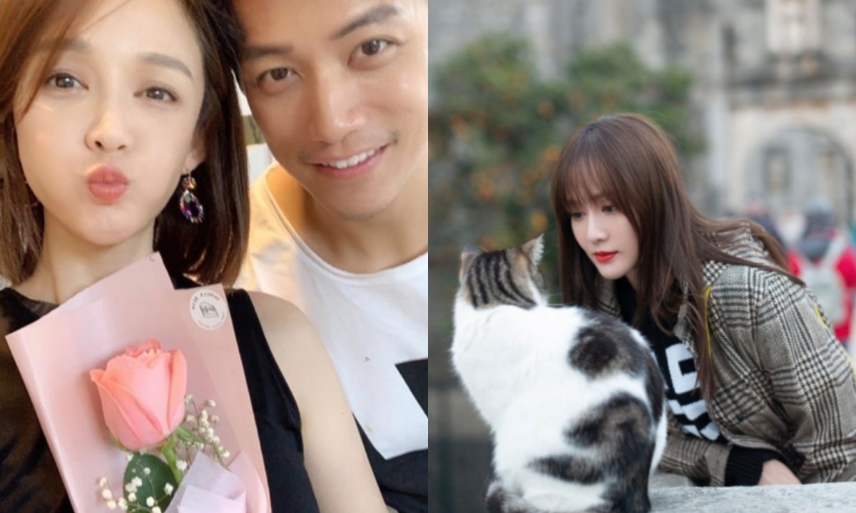 陳喬恩關注流浪動物議題。