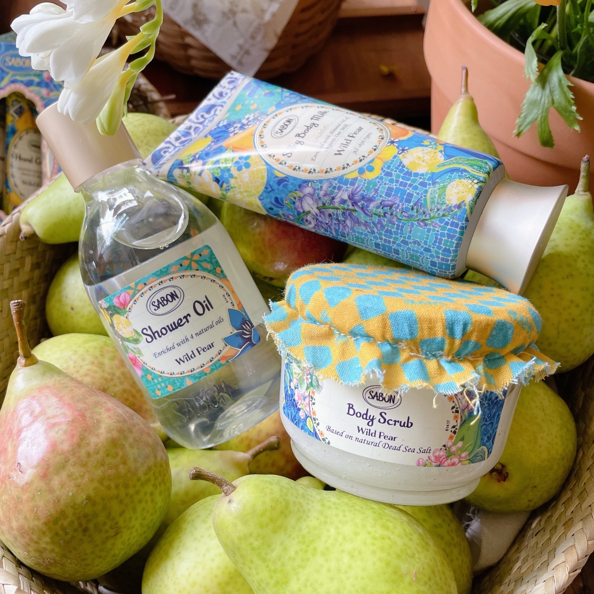 SABON 繽紛野梨系列