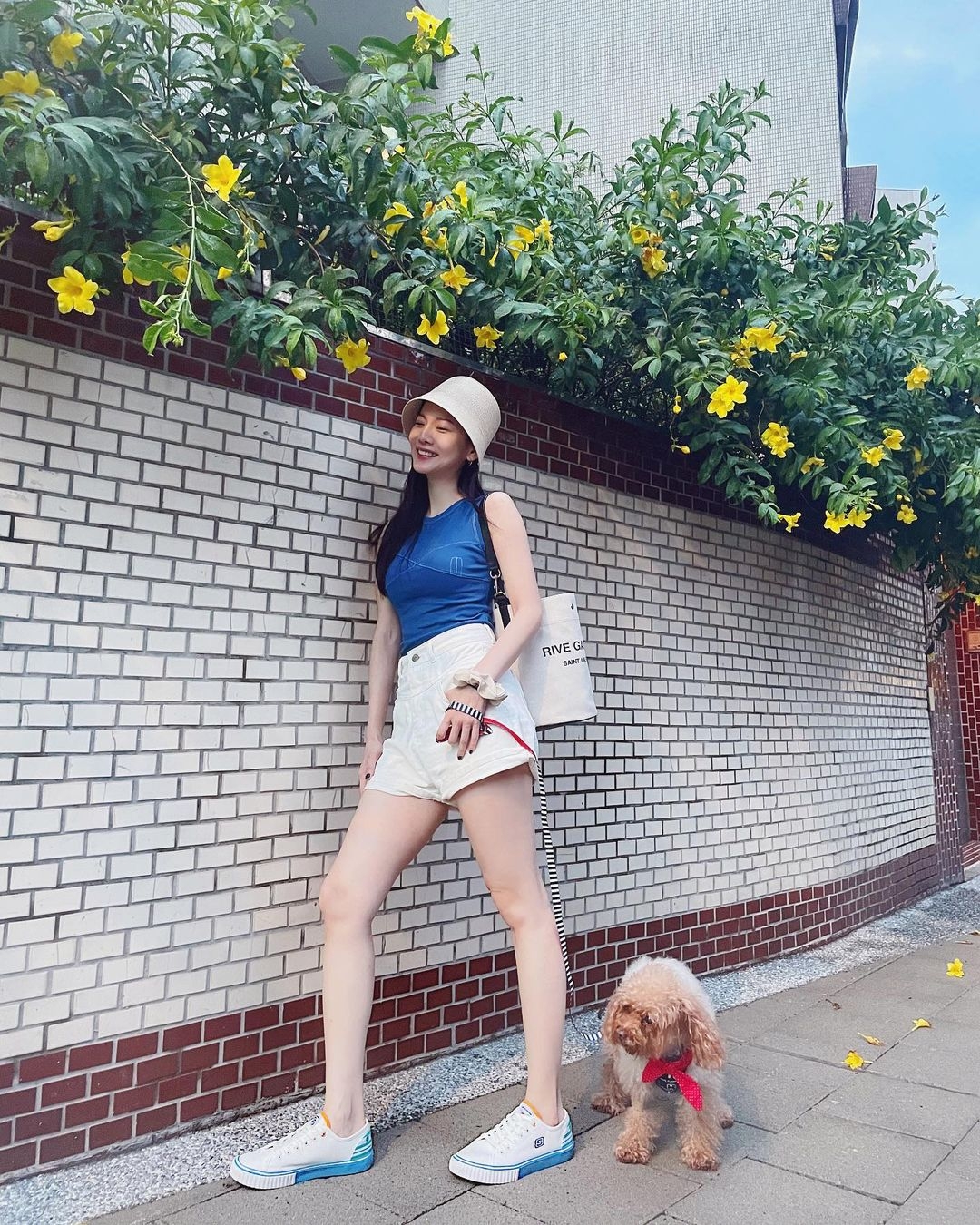 曾之喬很懂得運用色彩,簡單卻藏有許多細節。