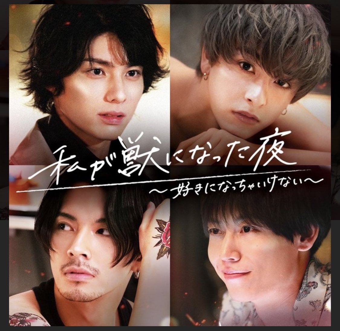 《我變成野獸的夜晚》第三季小鮮肉