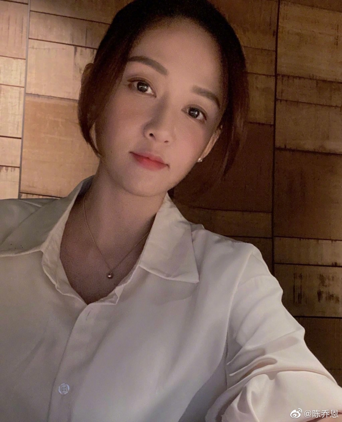 陳喬恩為一隻被虐待的6歲小象「莫莉」發聲