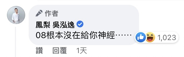 鳳梨(吳泓逸)