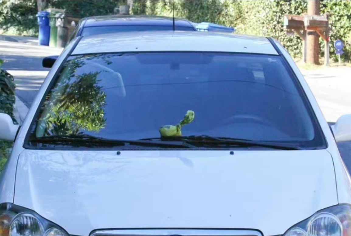 安海瑟薇把狗屎扔在狗仔正車窗前