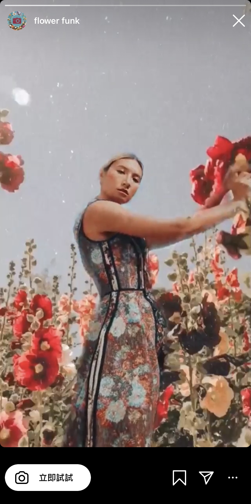 #Flower funk 創作者:yasincereza