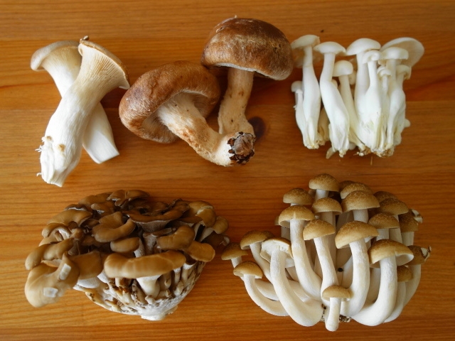 火鍋必備的各種菇