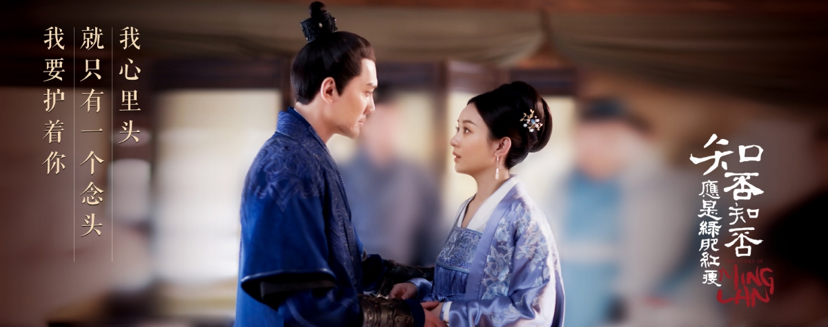 《知否？知否？應是綠肥紅瘦》