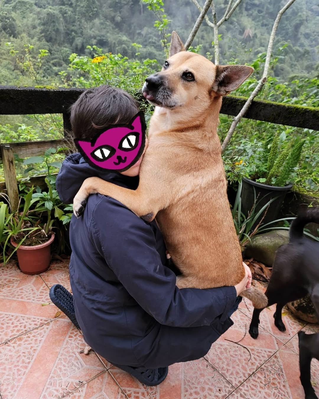 老婆IG疑似發文控訴 Leo王出軌