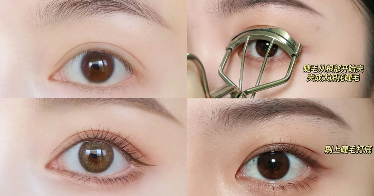 根根分明的睫毛