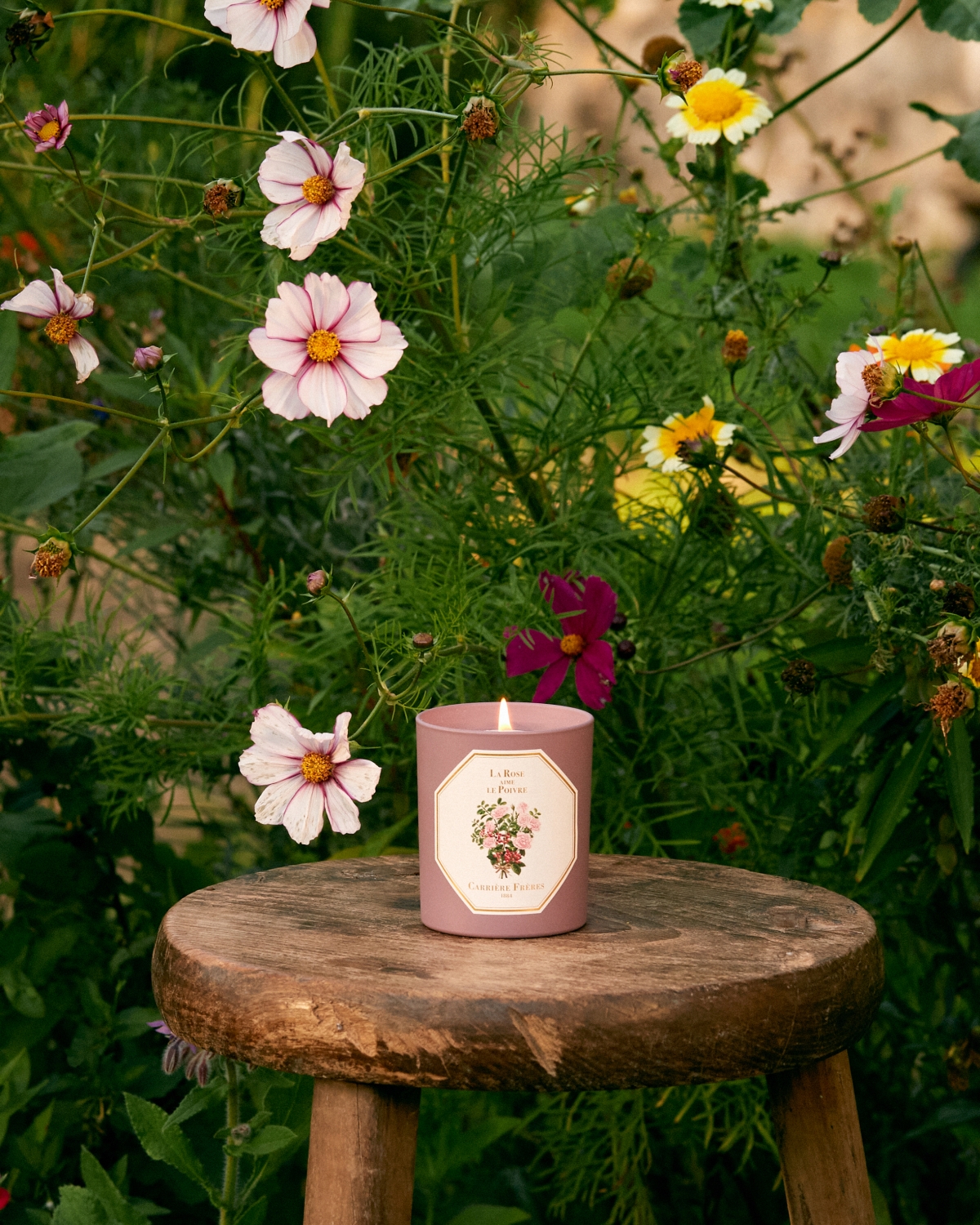 Carrière Frères 玫瑰愛胡椒限量蠟燭185g，NT$2,280 