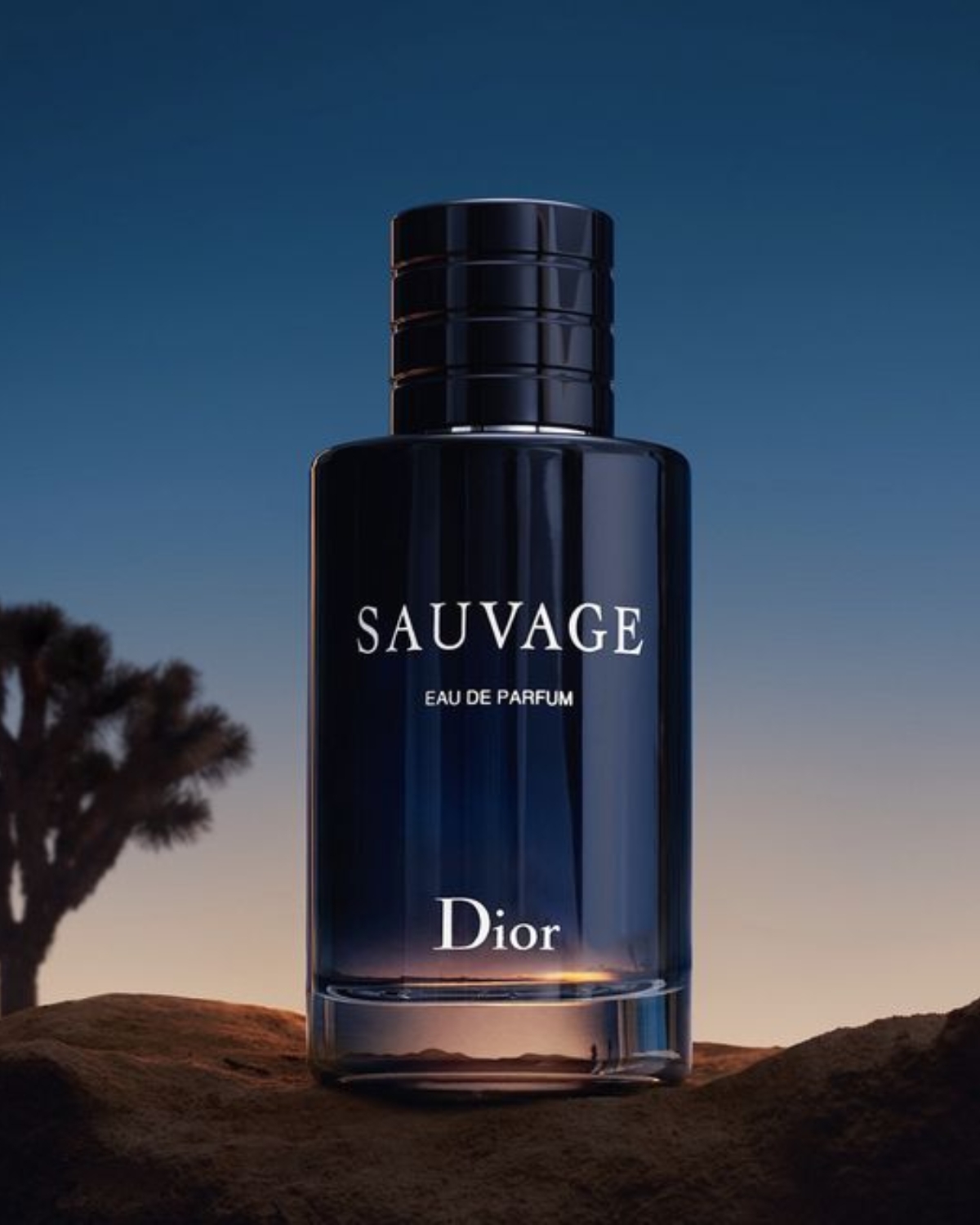 Dor SAUVAGE