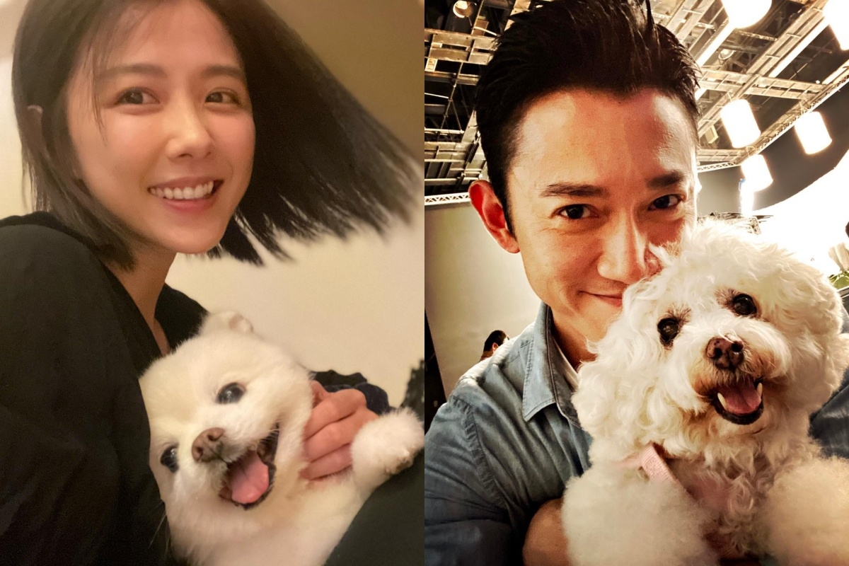 眾人非常關心兩人的結婚進度