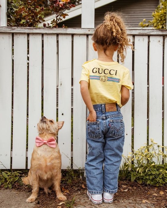 社交負面人格測試結果#支配