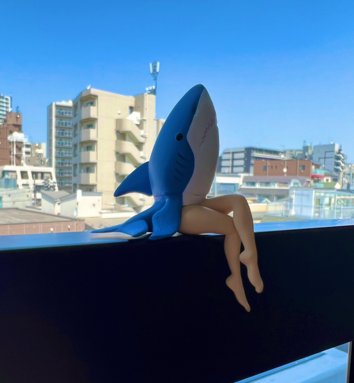 Qualia推出的新扭蛋系列「美腿鯊魚(美脚ザメ)」