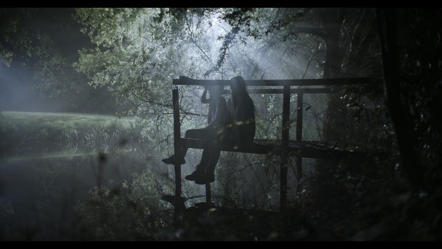 其他動物走向？