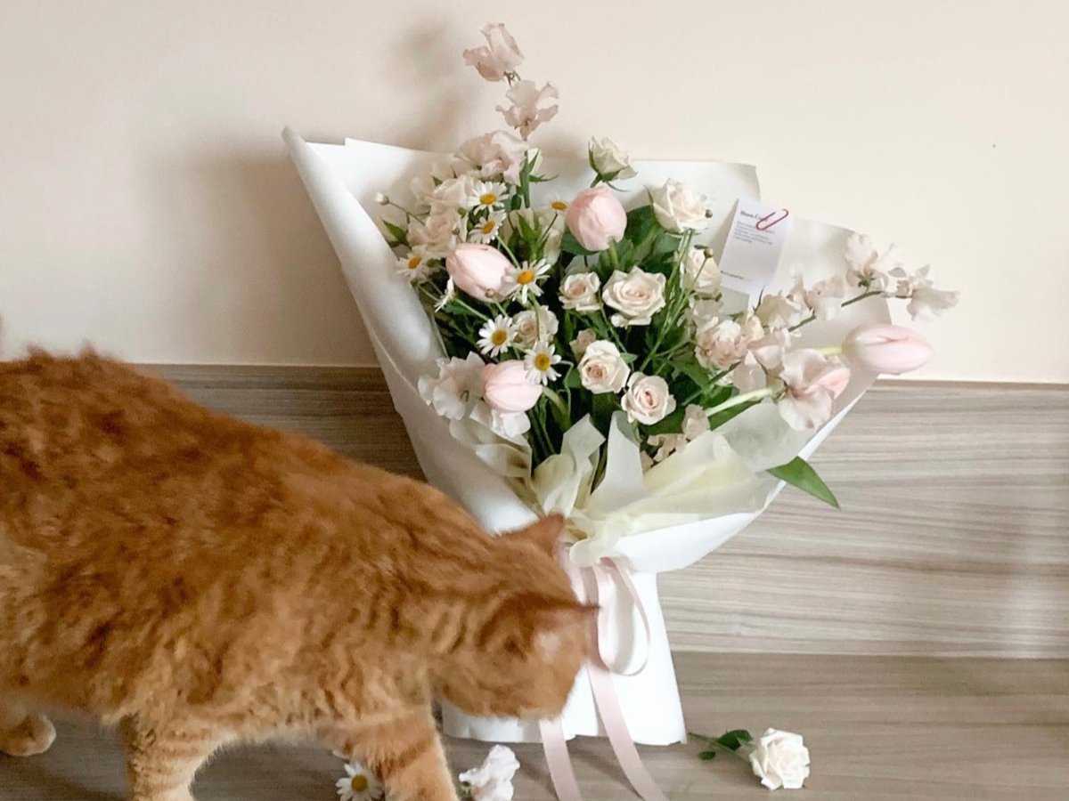 韓系小清新花束