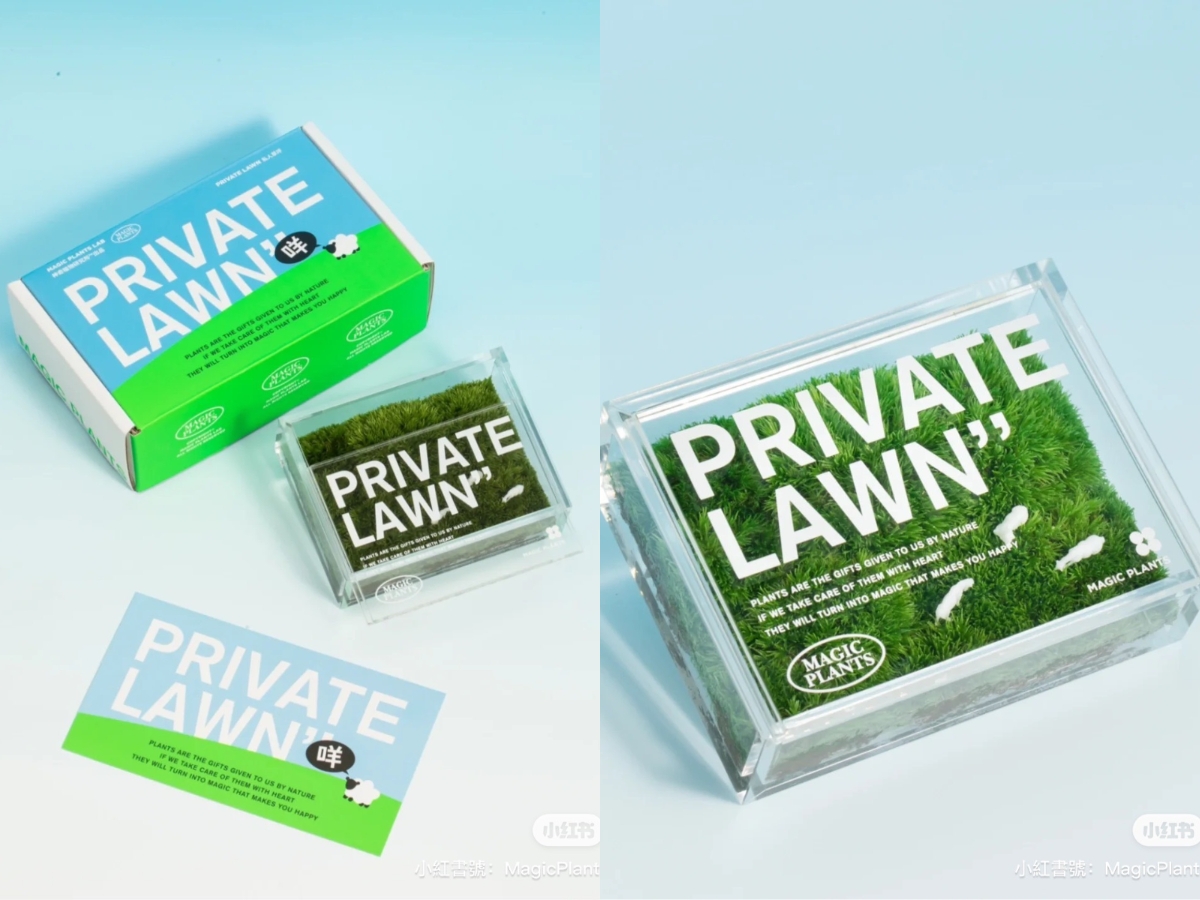 超療癒桌上型苔蘚