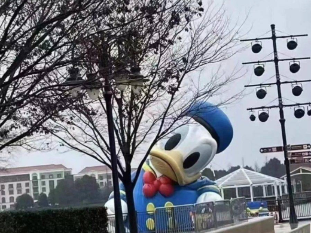 上海迪士尼荒廢模樣