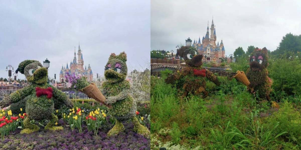 上海迪士尼封閉前後