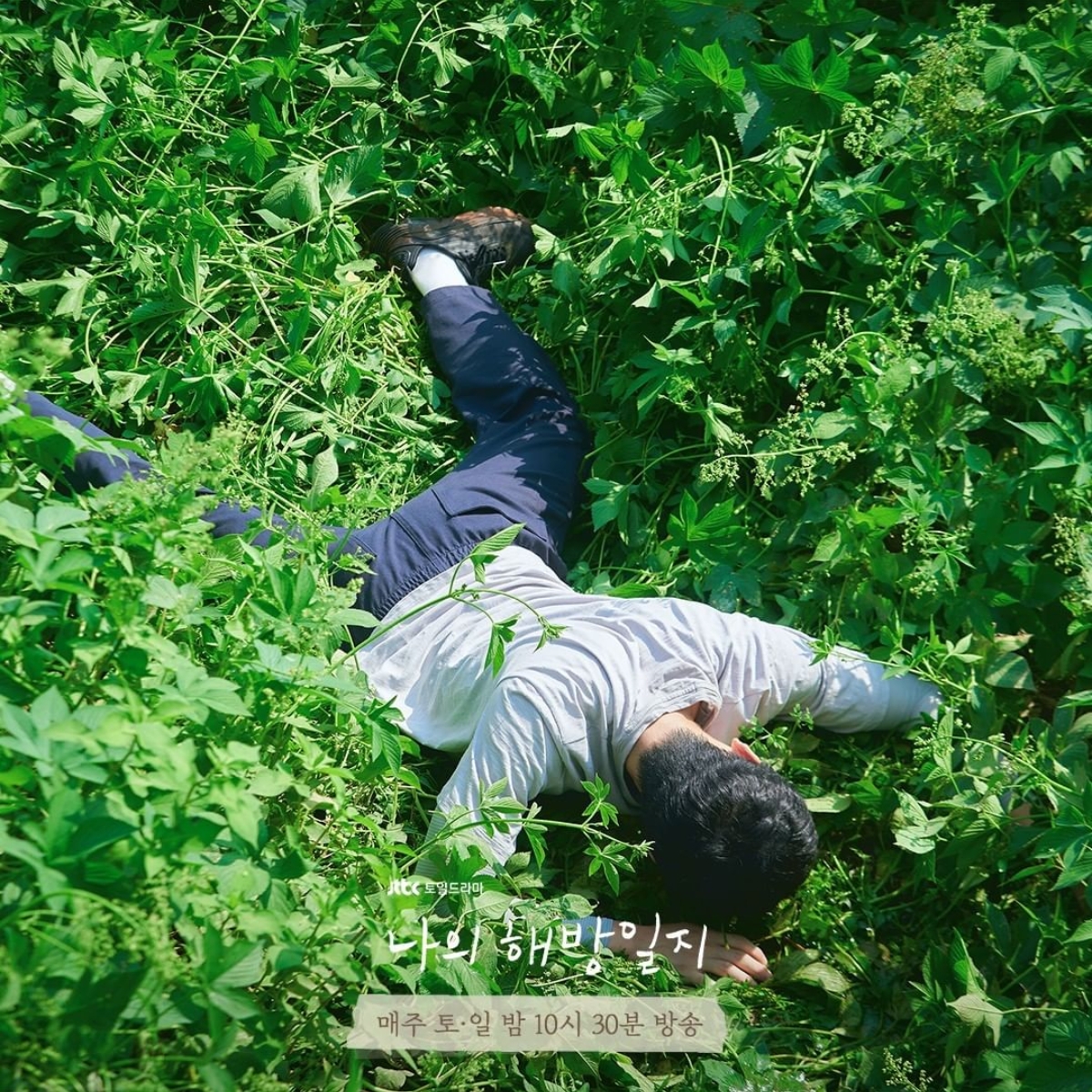 《我的出走日記》厭世社畜金句