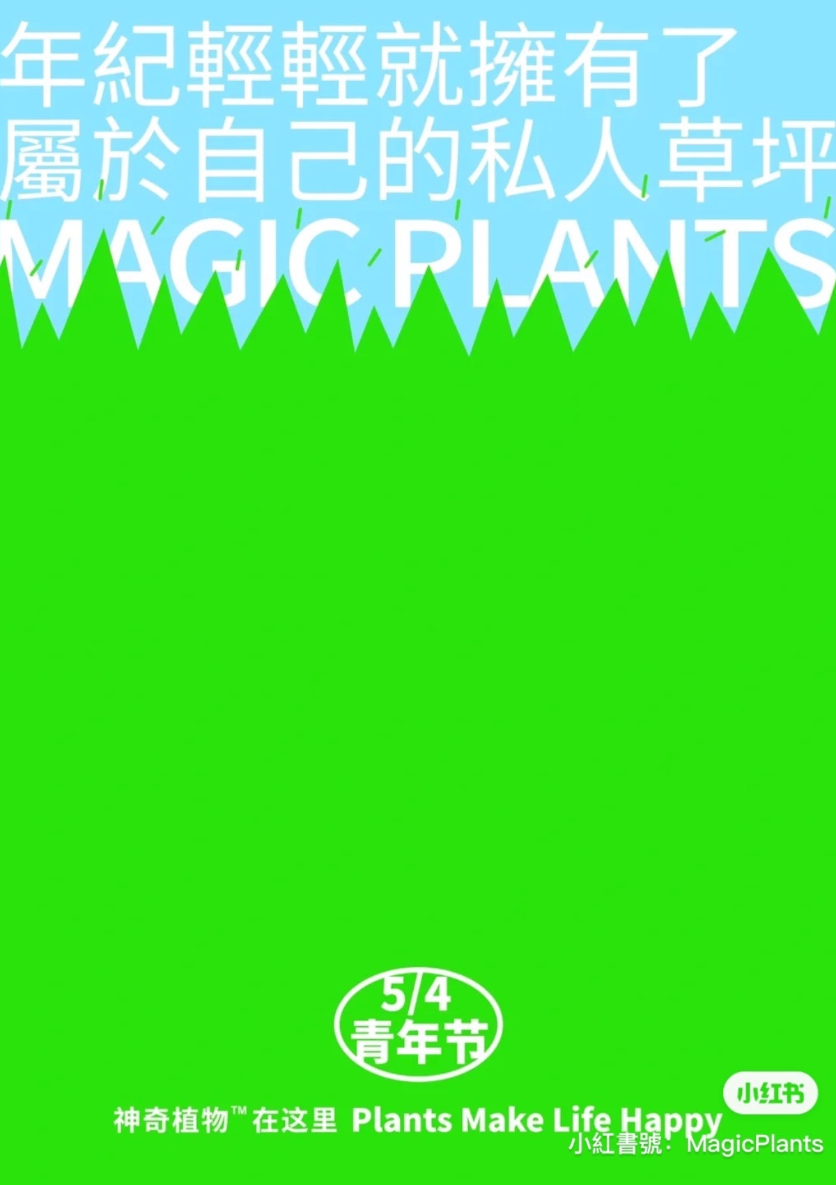 超療癒桌上型苔蘚