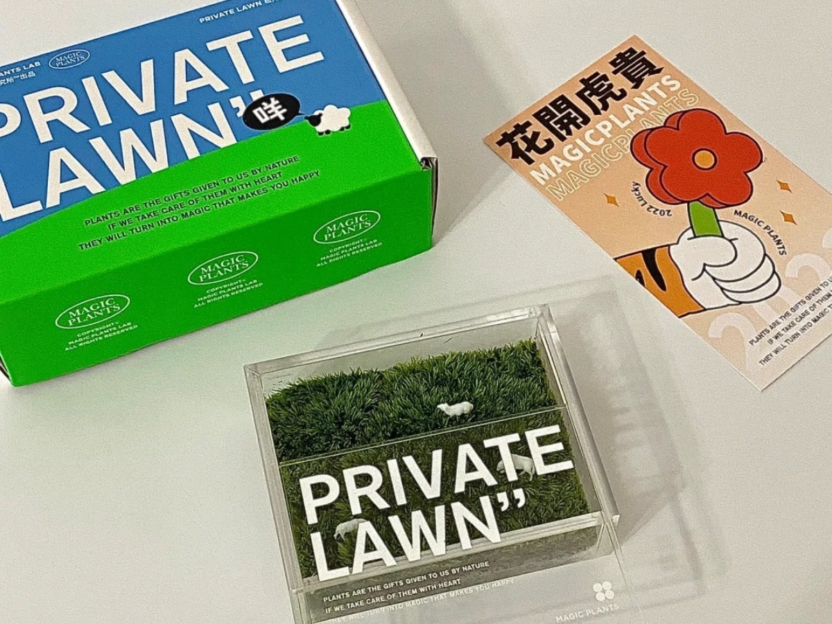 超療癒桌上型苔蘚