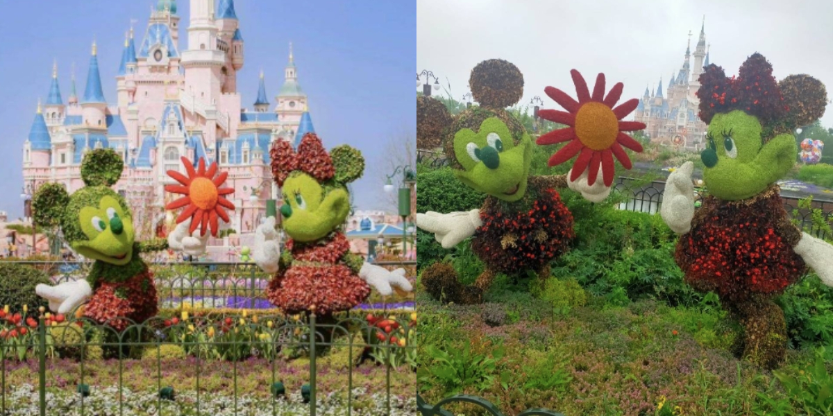 上海迪士尼封閉前後