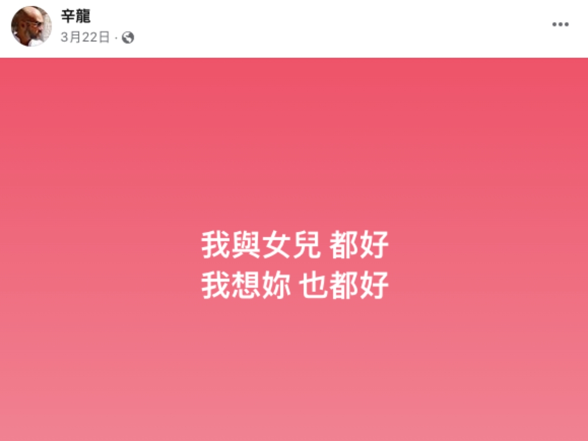 辛龍發文