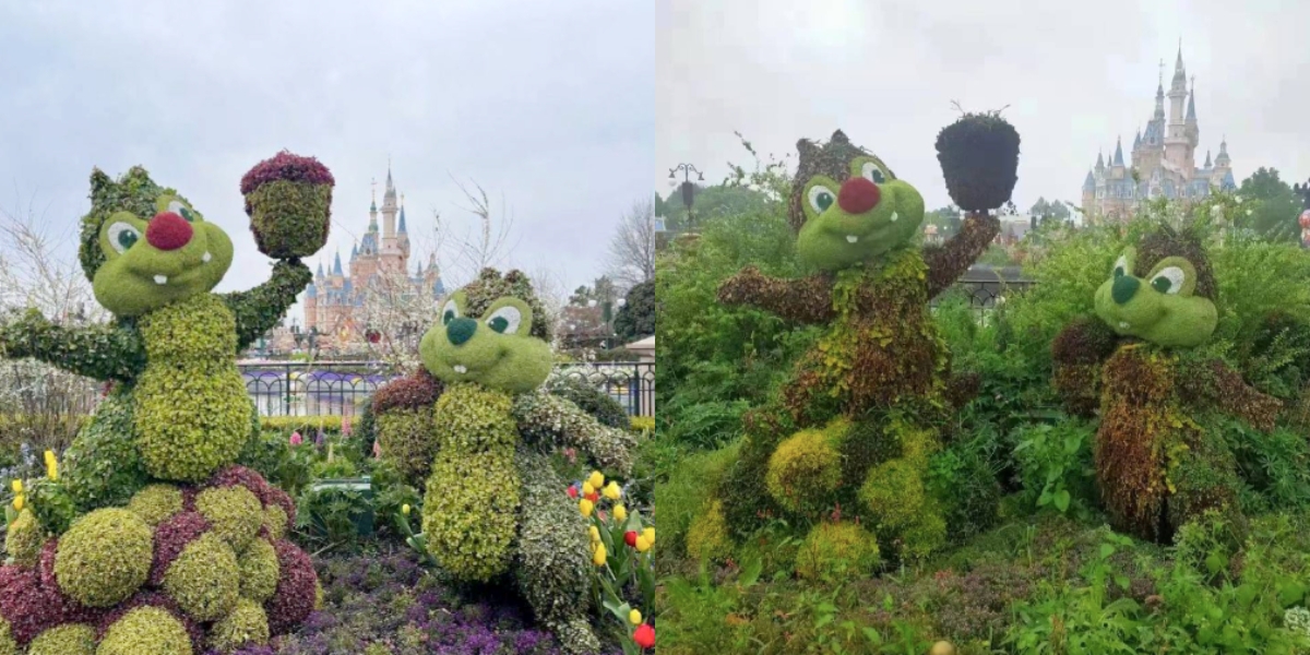 上海迪士尼封閉前後