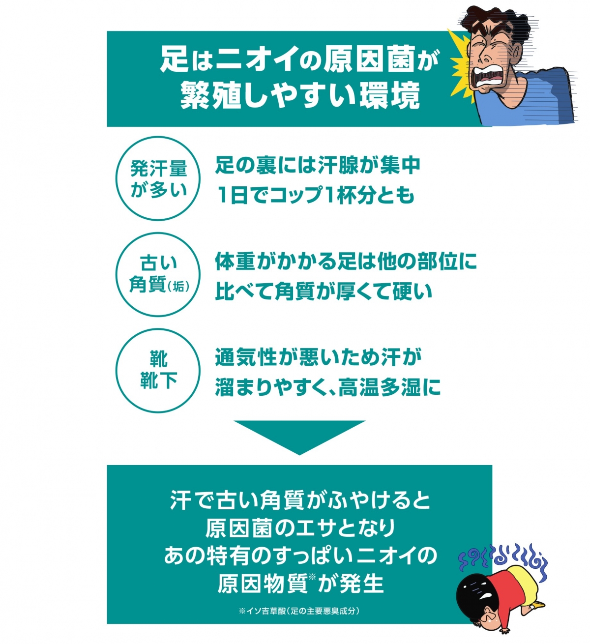 官網提供詳細說明