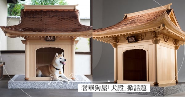 製作到完成要等半年！日本445萬超奢華狗屋「犬墊」掀熱議，一年只打造一座的「豪宅」網驚呼：真。好狗命