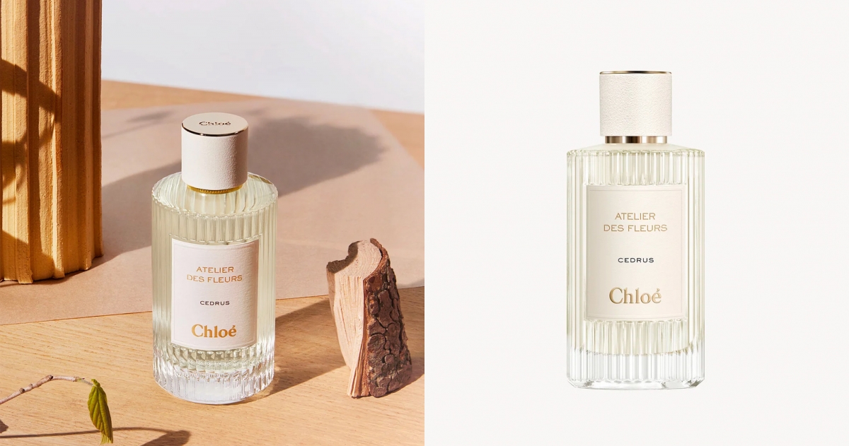 Chloé Cedrus北國雪松
