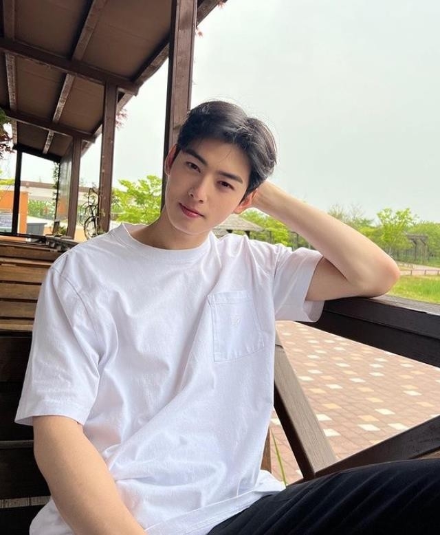 車銀優被稱為是臉蛋天才