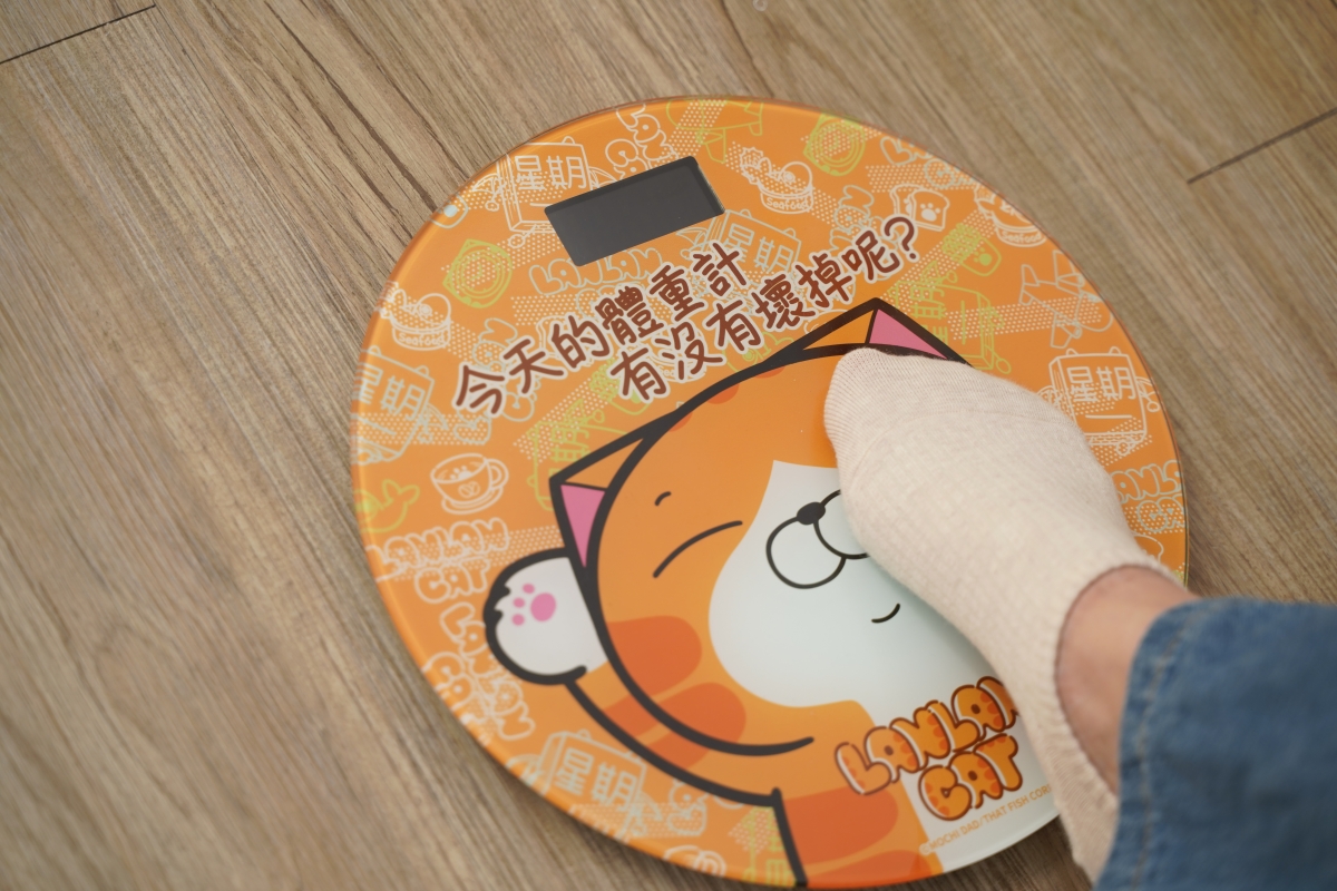 白爛貓體重計