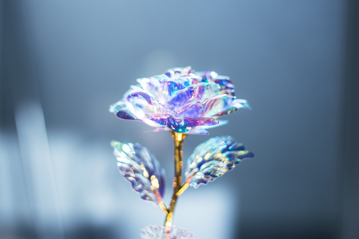 日本攝影師高超攝影技術掀話題