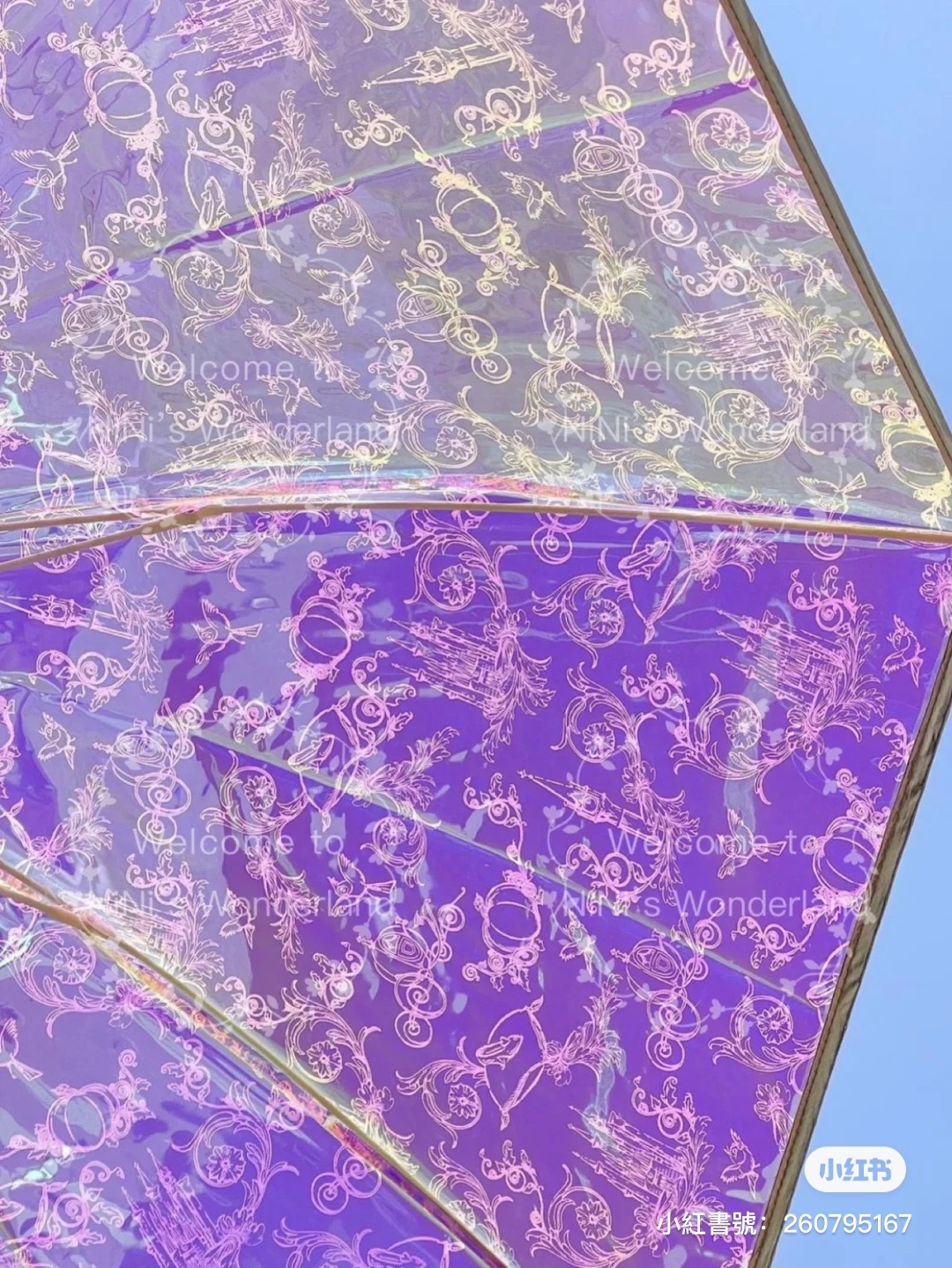 迪士尼透明長柄雨傘